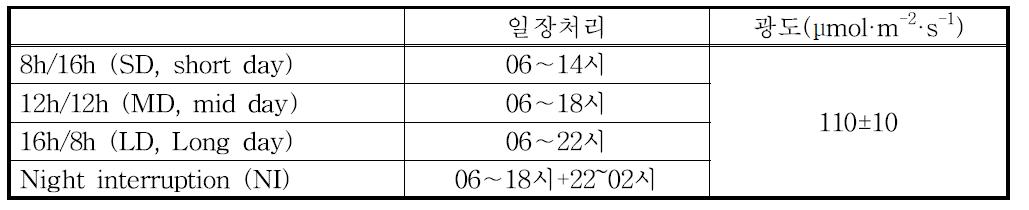 일장처리 시간 및 광도