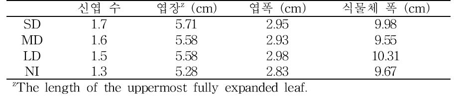 10주 간 일장 처리 후 영양생장 측정결과