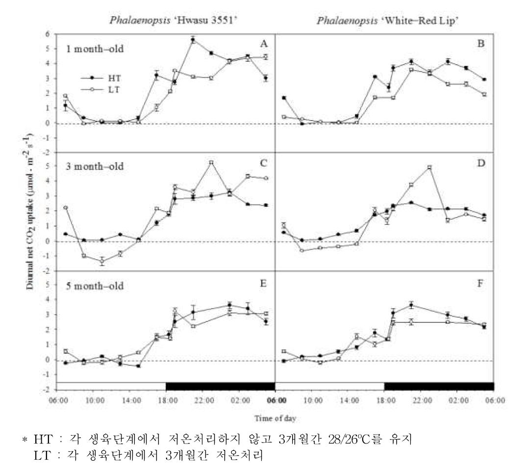 영양생장 단계별 3개월간 저온처리시 CO2흡수 패턴의 변화