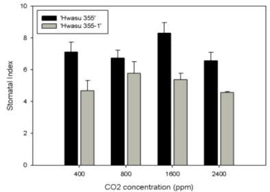 CO2처리농도별 잎 뒷면의 기공밀도