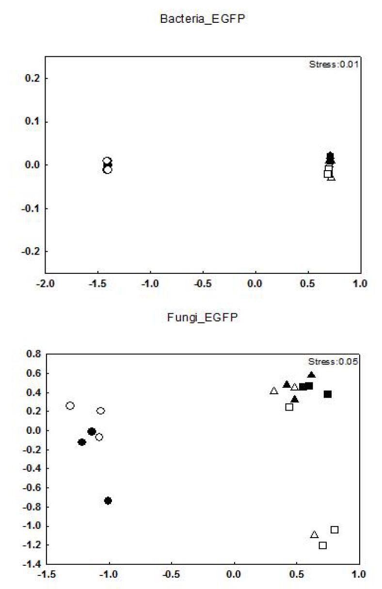 GM누에와 일반누에를 첨가한 토양의 세균(상)과 진균(하) 군집의 T-RFLP 프로파일에 대한 NMDS 분석 결과.