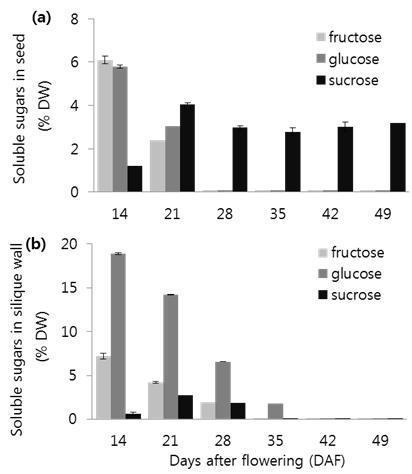 Changes of soluble sugars in seed and silique wall during seed filling stages in tetralocular B. rapa ‘Sarsyun’