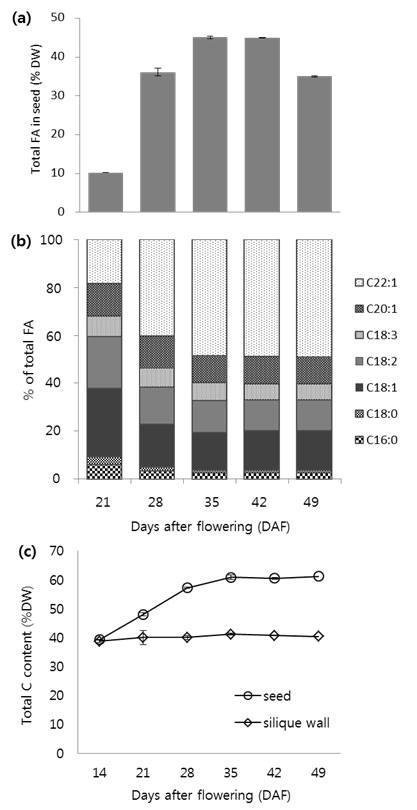 Changes in seed lipid content and total C content in seeds of tetralocular Brassica rapa ‘Sarsyun’