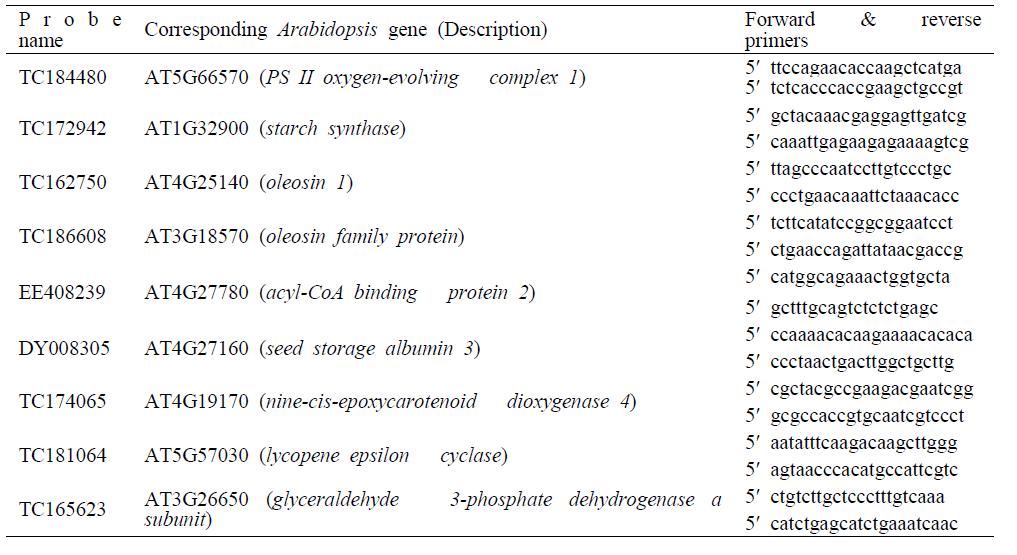 Nucleotide sequences of primers used in RT-PCR