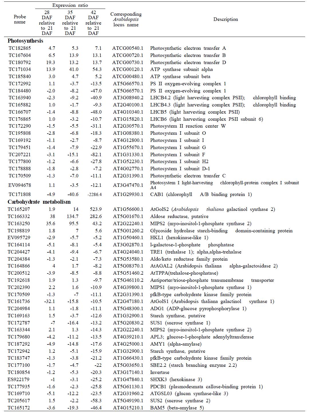 Changes in transcript abundance of genes associated with seed photosynthesis and carbohydrate metabolism in tetralocular Brassica rapa seeds.