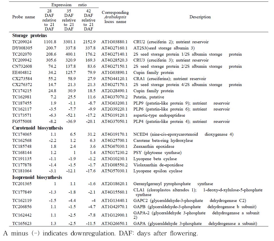 Changes in transcript abundance of genes associated with storage proteins and carotenoid and isoprenoid biosynthesis in tetralocular Brassica rapa seeds.