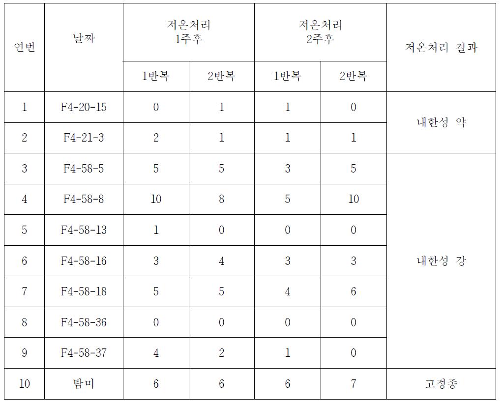 유채 저온처리 후 생존 개체수 조사2