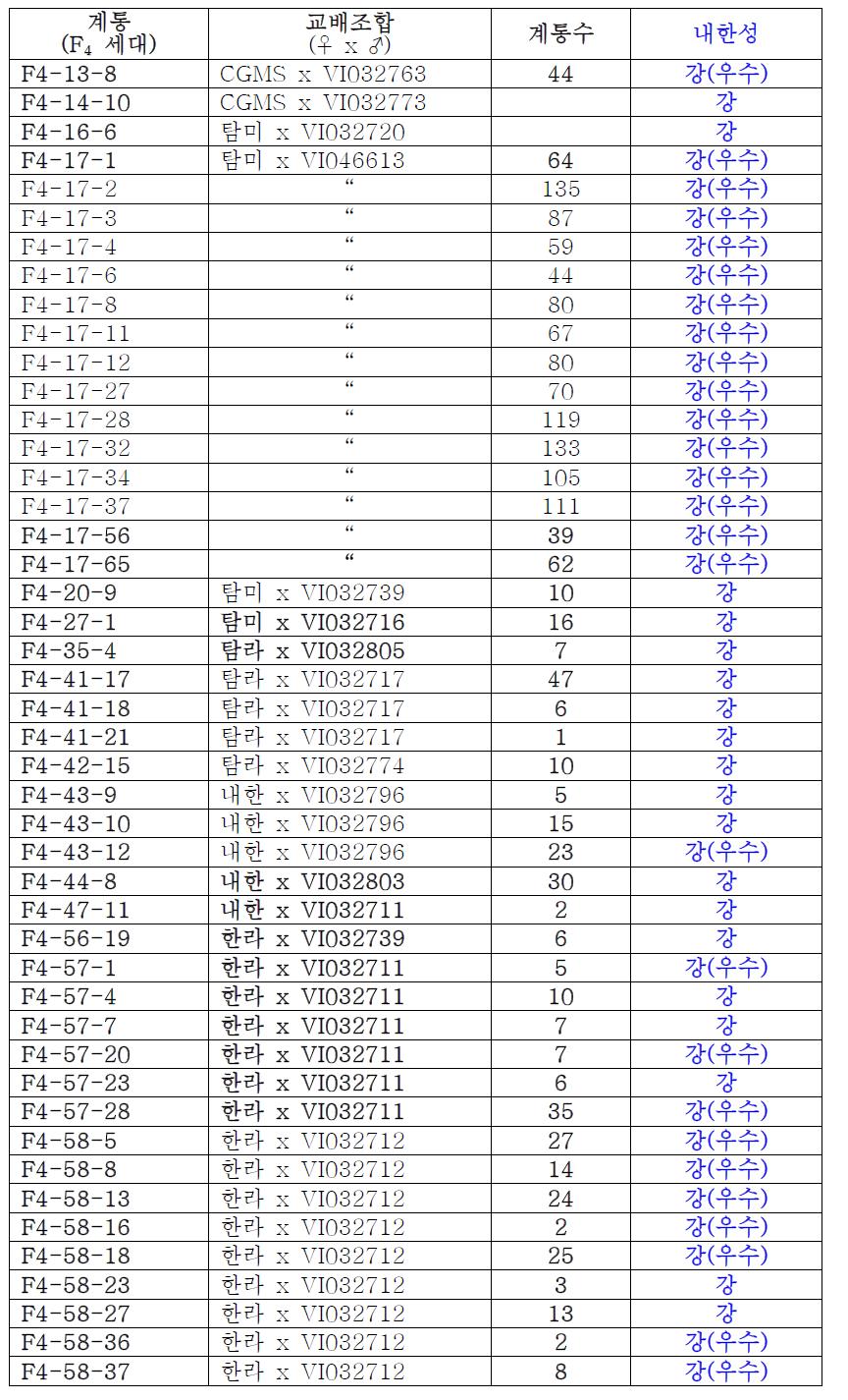 F₄ 세대(15교배조합): 내한성 계통 1,665 계통 확인