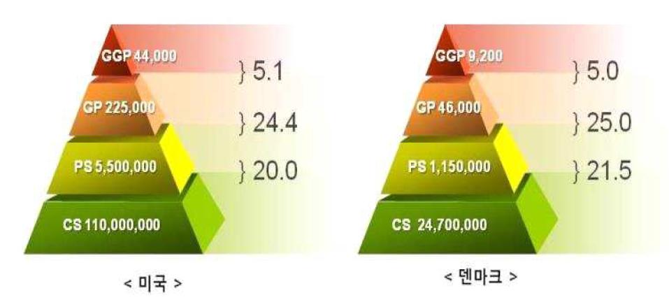 미국 및 덴마크의 돼지개량(육종) 피라미드 구조