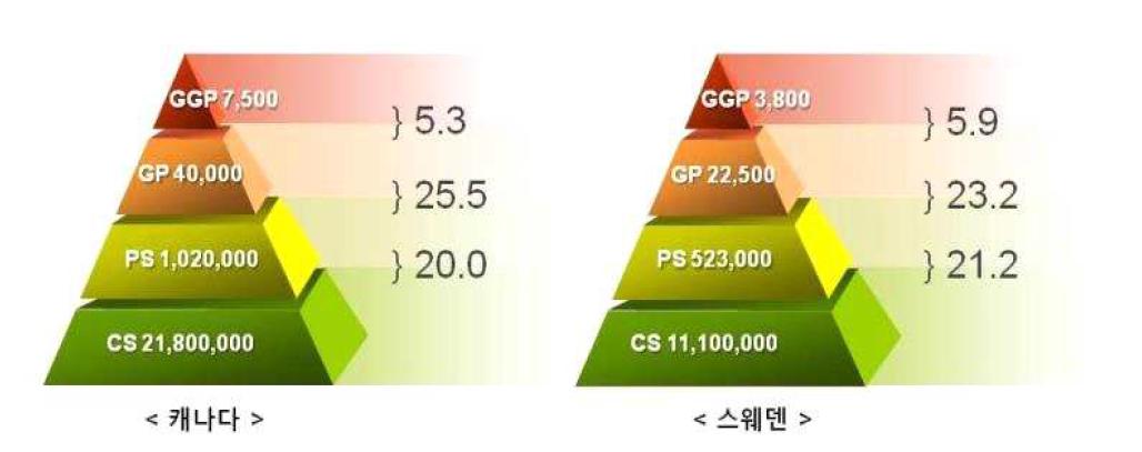 캐나다 및 스웨덴의 돼지개량 피라미드 구조