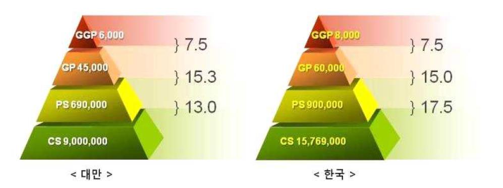 대만과 한국의 돼지개량 피라미드 구조