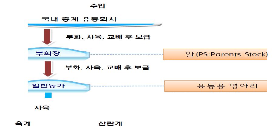 국내 닭(산란계 및 육용계) 산업 구조