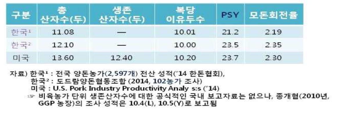 한국과 미국의 돼지 생산성 비교