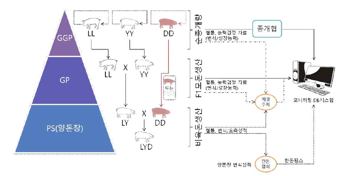 돼지개량추세 모니터링을 위한 자료수집 체계