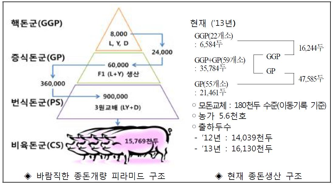 우리나라 종돈 피라미드의 바람직한 구조(안)