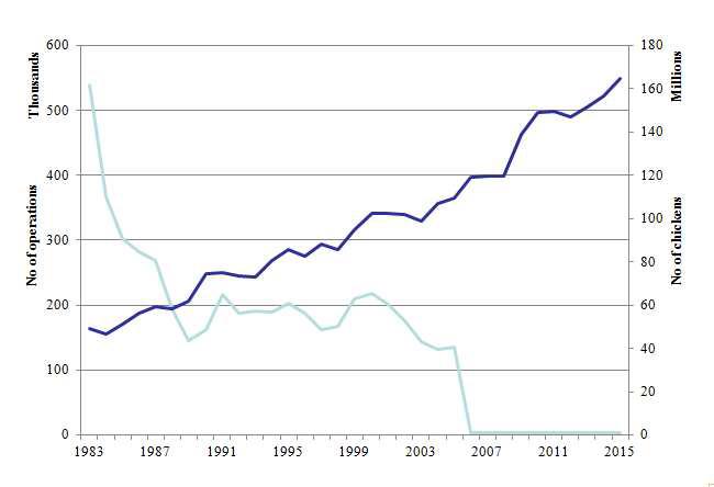 The changes in numbers of poultry operations and chickens in Korea