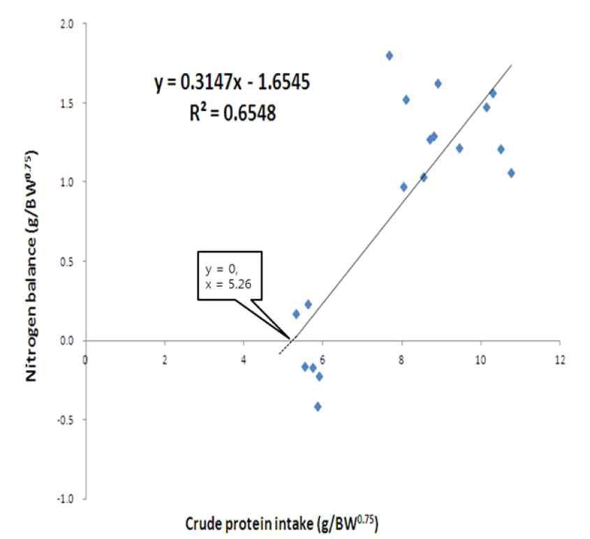 질소 섭취량과 분뇨 배설량을 통해 구한 질소 균형 회귀식