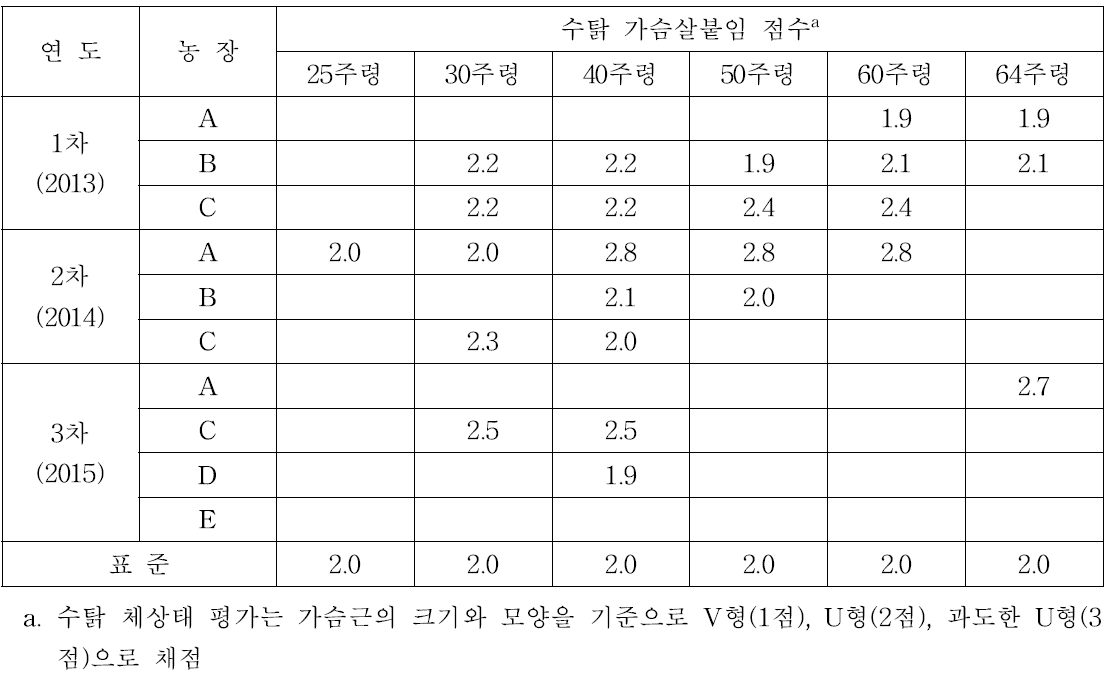 수탉 가슴살붙임 상태