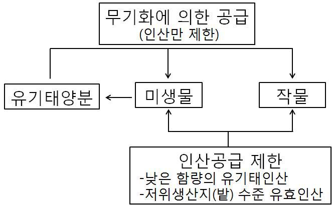 미생물과 작물 간 인산경합에 의한 토양생태계 물질순환 교란 모식도