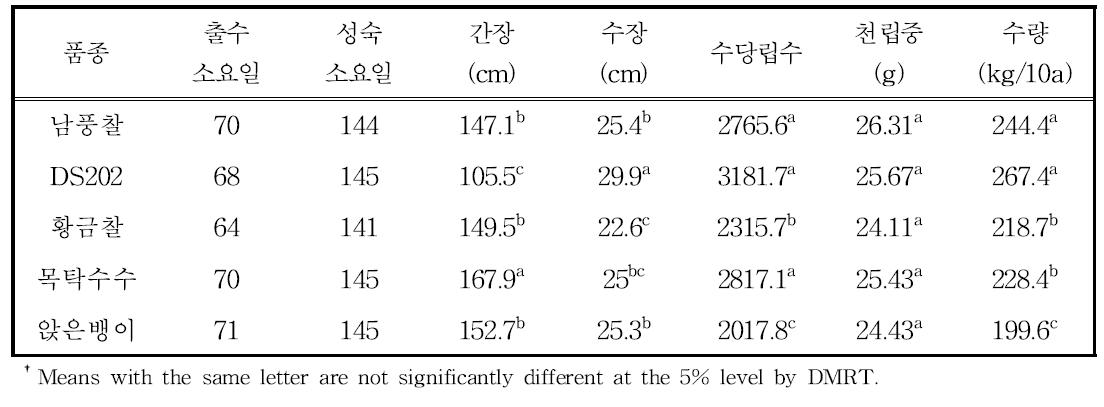 논1년/밭1년의 수수 품종별 생육 및 수량