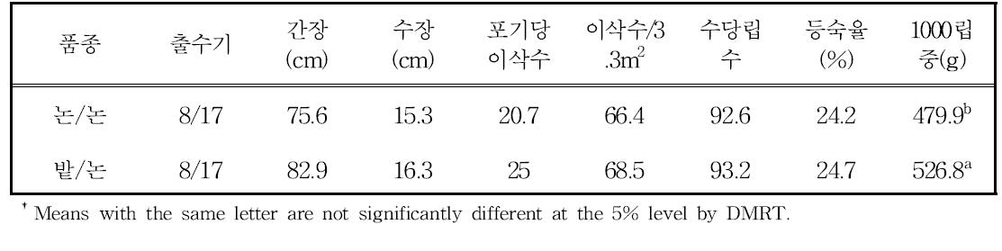 벼연속구와 밭1년/논1년 답의 벼생육 및 수량