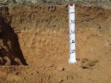 soil profile