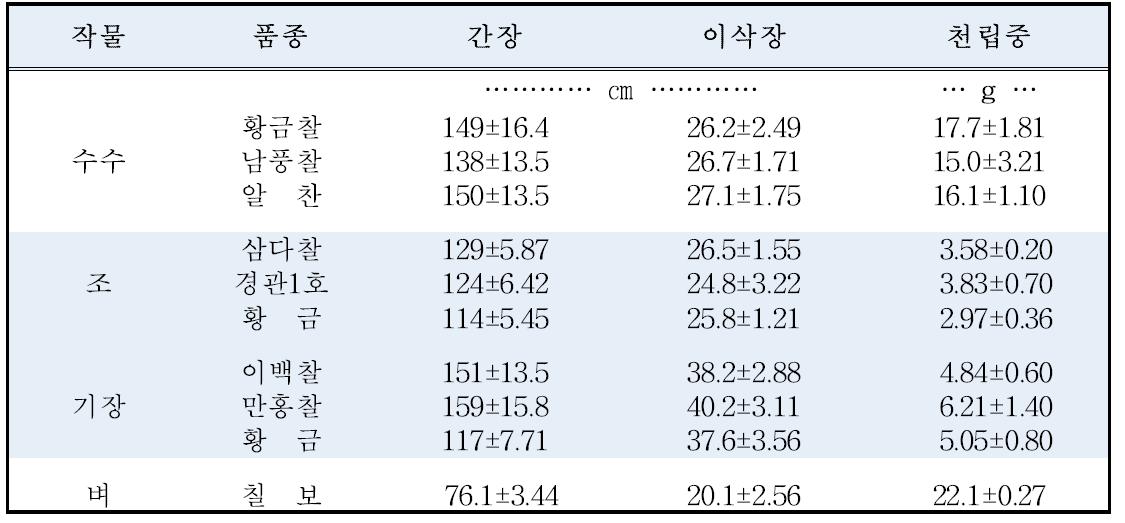 작물별 수확기 생육 특성 및 천립중(‘13)