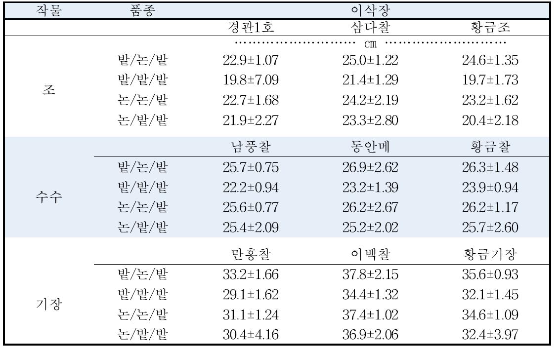 조, 수수, 기장의 답전윤환에 따른 이삭장(‘15)