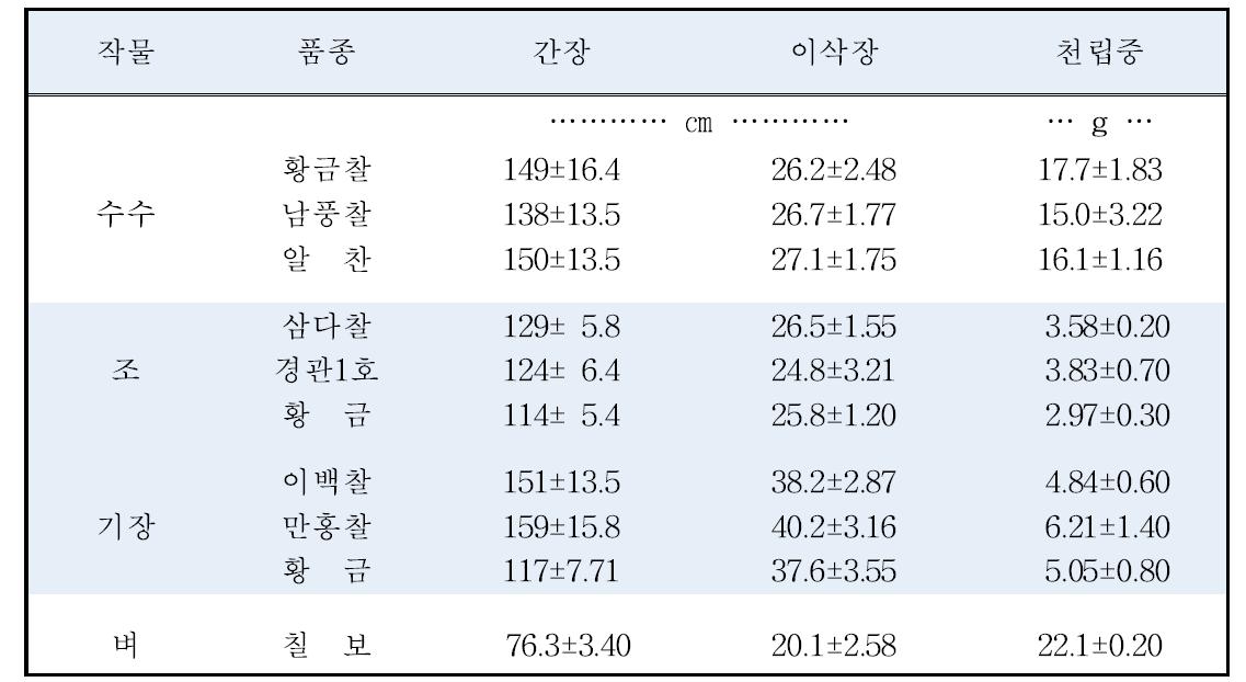 작물별 수확기 생육 특성 및 천립중(‘13)