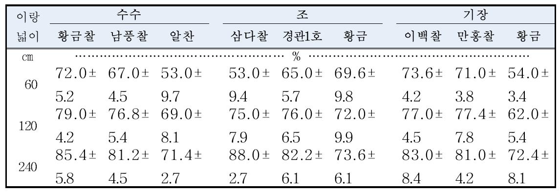 이랑너비에 따른 잡곡의 중기 초장변화(‘13)