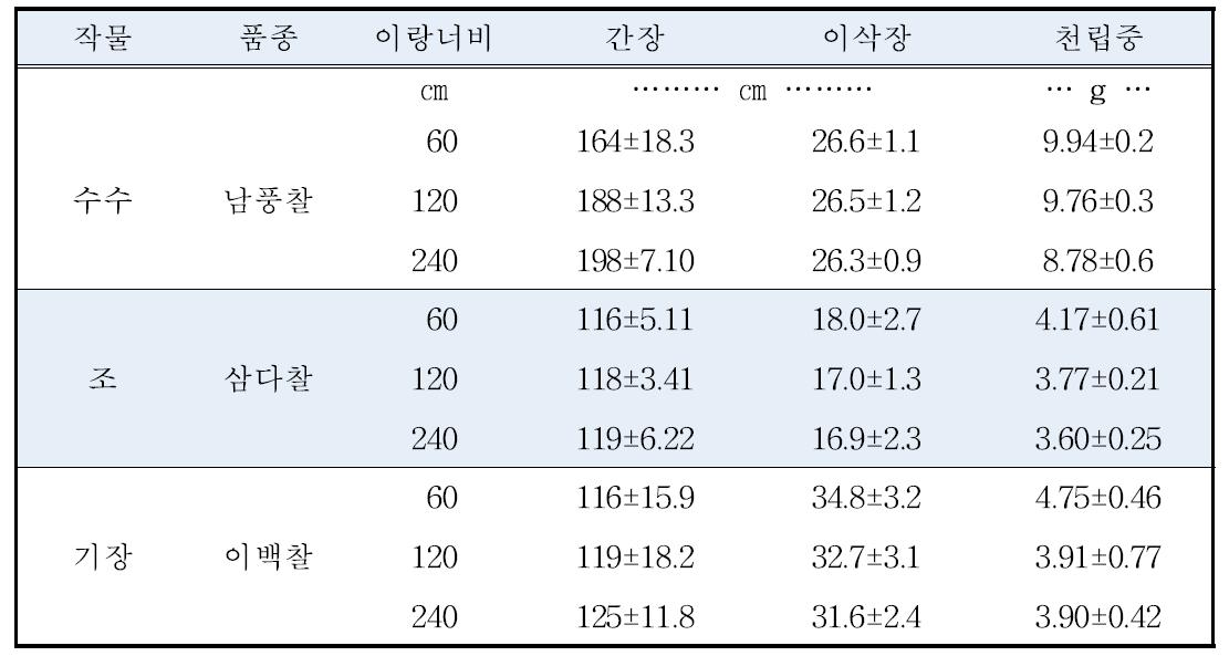 이랑너비에 따른 잡곡의 수확기 생육 특성 및 수량구성요소(‘13)