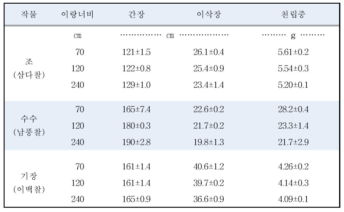 조, 수수, 기장의 이랑너비에 따른 간장, 이삭장 및 천립중(‘15)