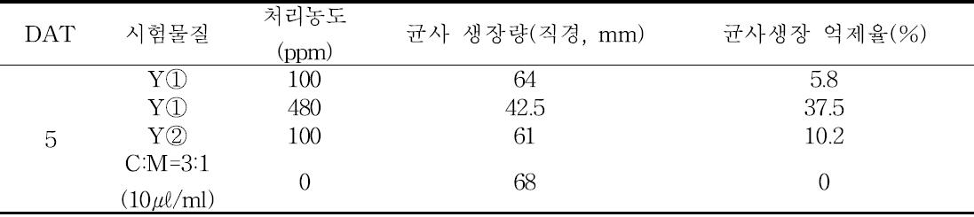 Xg 배양체 메탄올 추출물 Y① 및 Y② 분획의 P. capsici에 대한 균사생장 억제효과