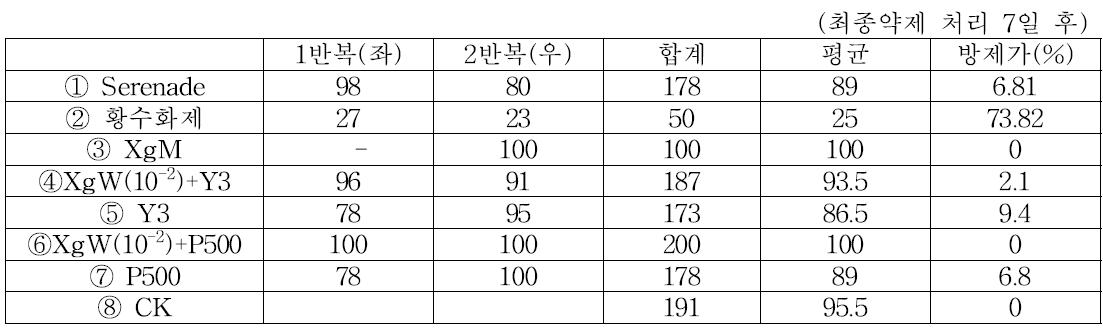 배양체 추출물과 보조제 혼용, 생물농약 등 효과시험 병조사 결과(이병엽율)