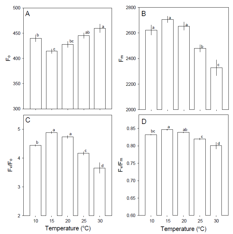Changes of minimal fluorescence (Fo), maximal fluorescence(Fm), potential photochemical efficient of PSII(Fv/Fo) and photochemical efficiency of PSII(Fv/Fm) in leaves of garlic(Allium sativum) under different temperature conditions grown for 15 days under different temperature conditions.