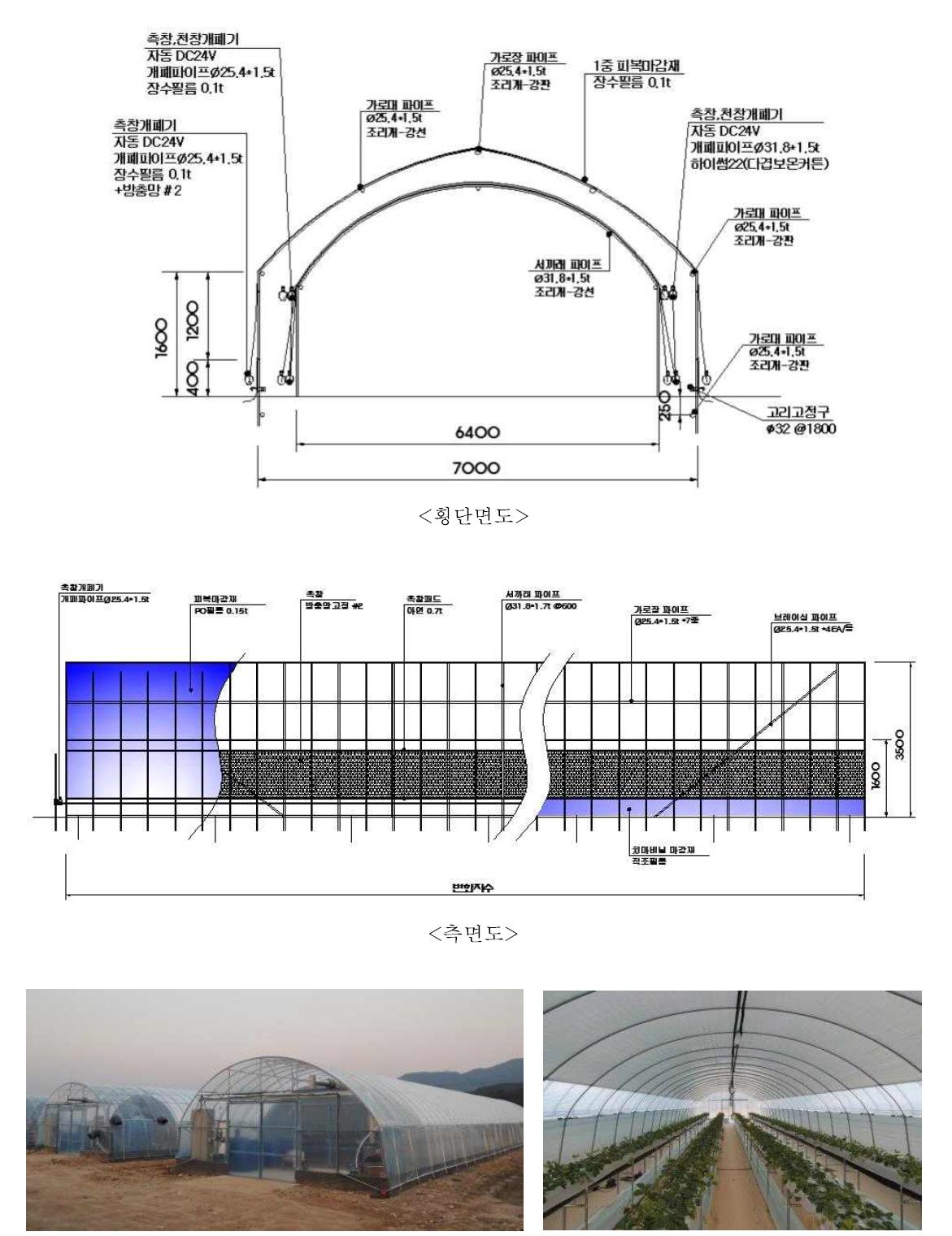 현장적용 온실 및 딸기 정식 광경