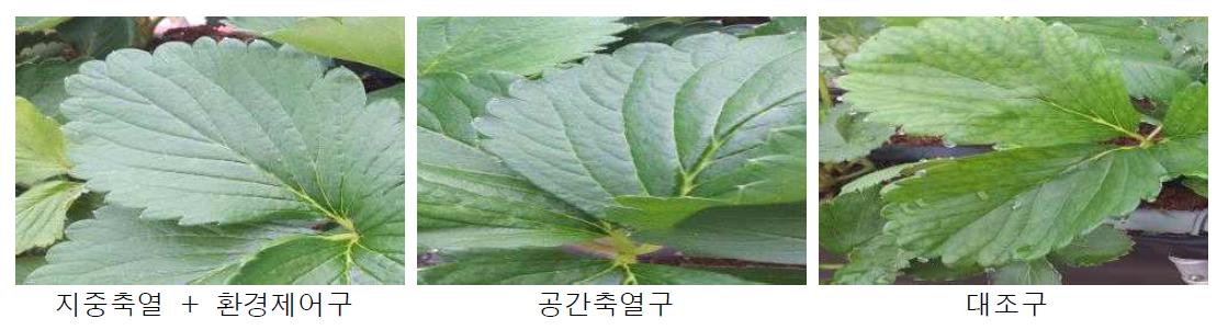 공간 및 지중축열, 환경제어에 따른 엽상태