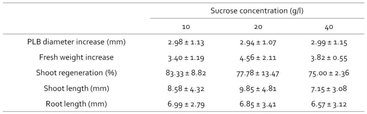 설탕농도별 심비디움 PLB 생장 비교