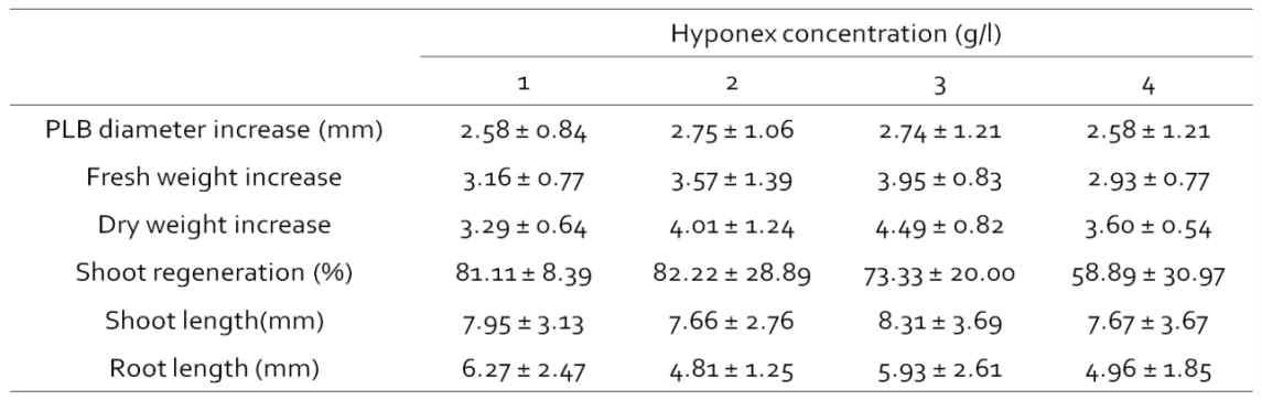 Hyponex농도별 심비디움 PLB 생장 비교