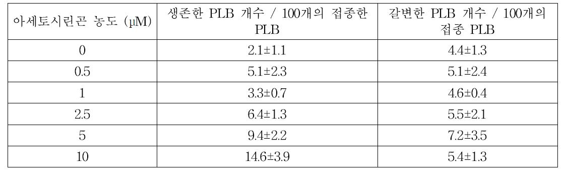 아세토시린곤 처리가 아그로박테리움 형질전환 효율에 미치는 영향