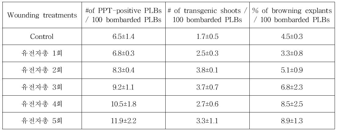 팔레놉시스 PLB에서 유전자총 발사횟수에 따른 형질전환 효율 비교