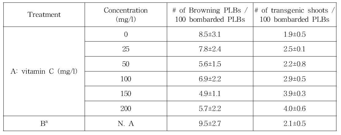 팔레놉시스 PLB에서 유전자총 발사후 비타민 C 처리에 따른 형질전환 효율 비교