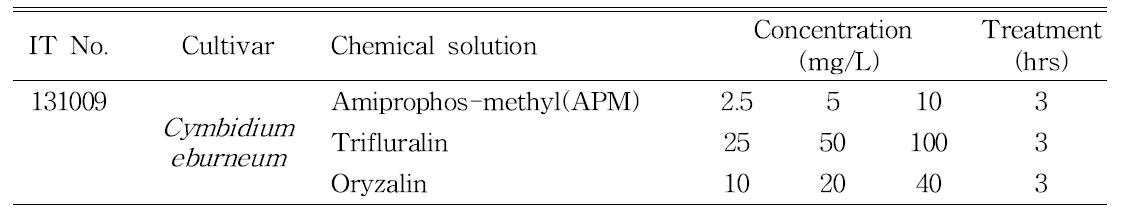 Concentration and treatment time of each solution for chromosome doubling in Cymbidium eburneum.