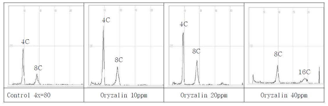 Flow cytometry results of Cymbidium eburneum in APM.