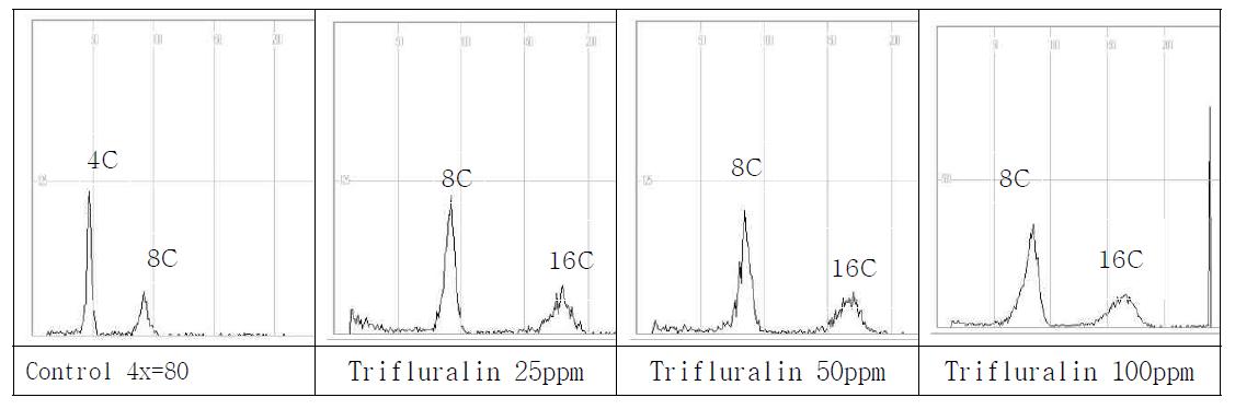 Flow cytometry results of Cymbidium eburneum in Trifluralin.