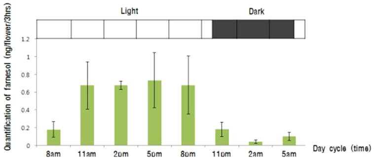 Quantification of farnesol emitted during day cycle in Cymbidium goeringii. 8 am: collection for 3 hrs from 6:30 am to 9:30 am; Plant were grown under 16 h/8 h regime