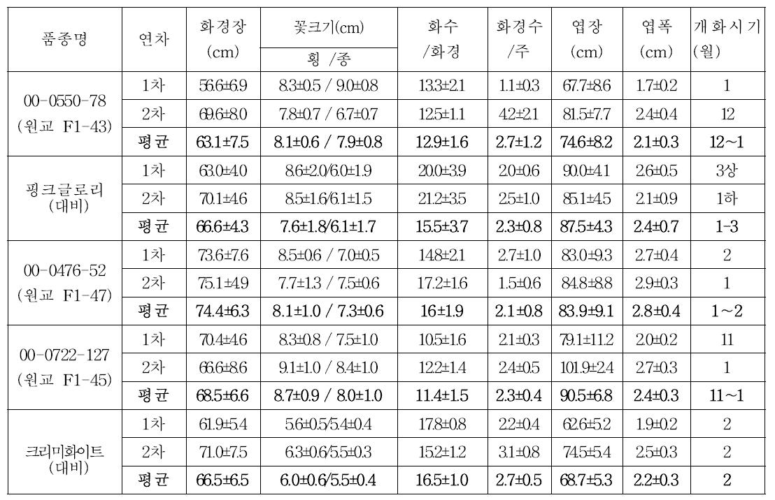 2013년 2차 특성검정 계통의 생육특성