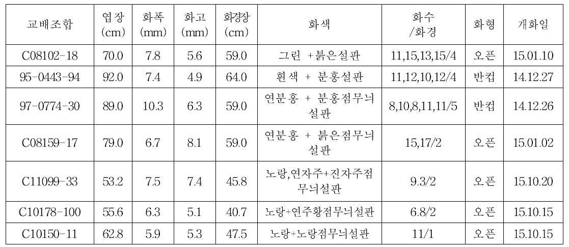 ‘15년 선발계통 생육 및 개화특성