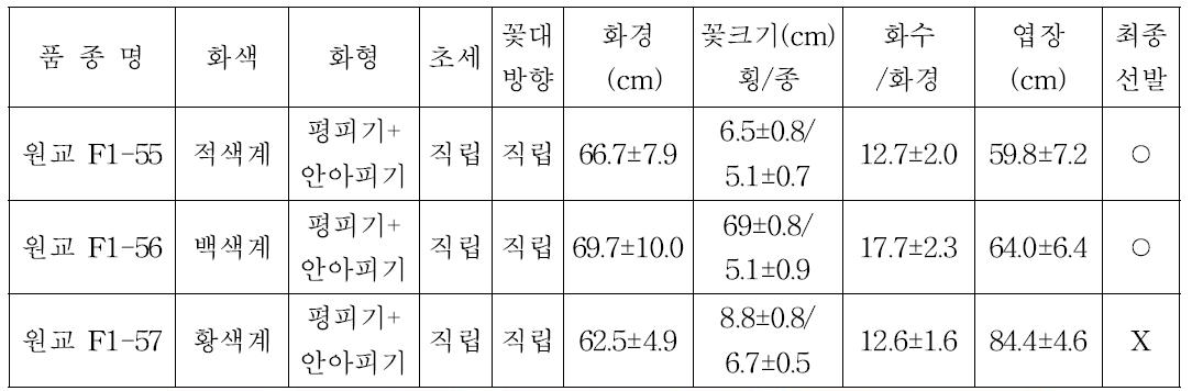 2차 특성검정계통 생육특성 및 최종선발 여부