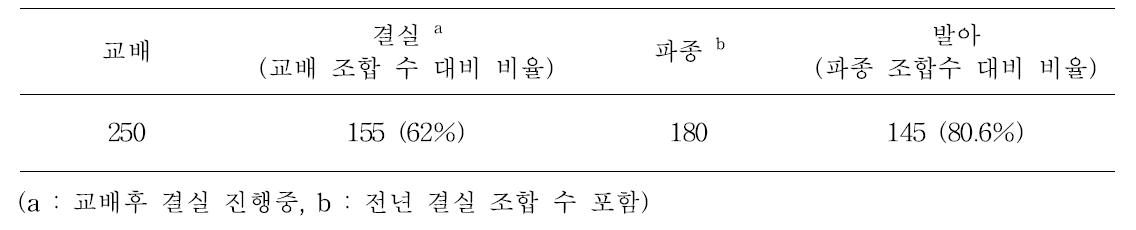 동양 심비디움 계통의 교배, 결실, 파종 및 발아 조합 수